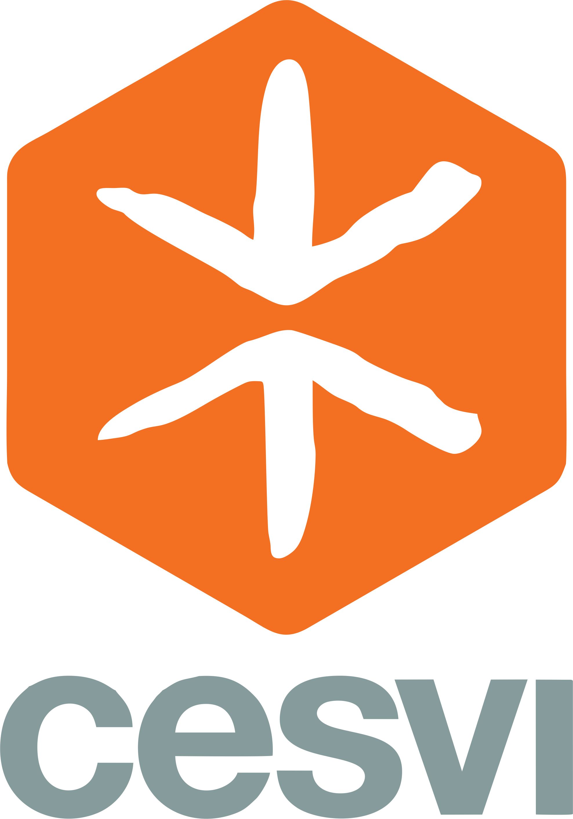 CESVI